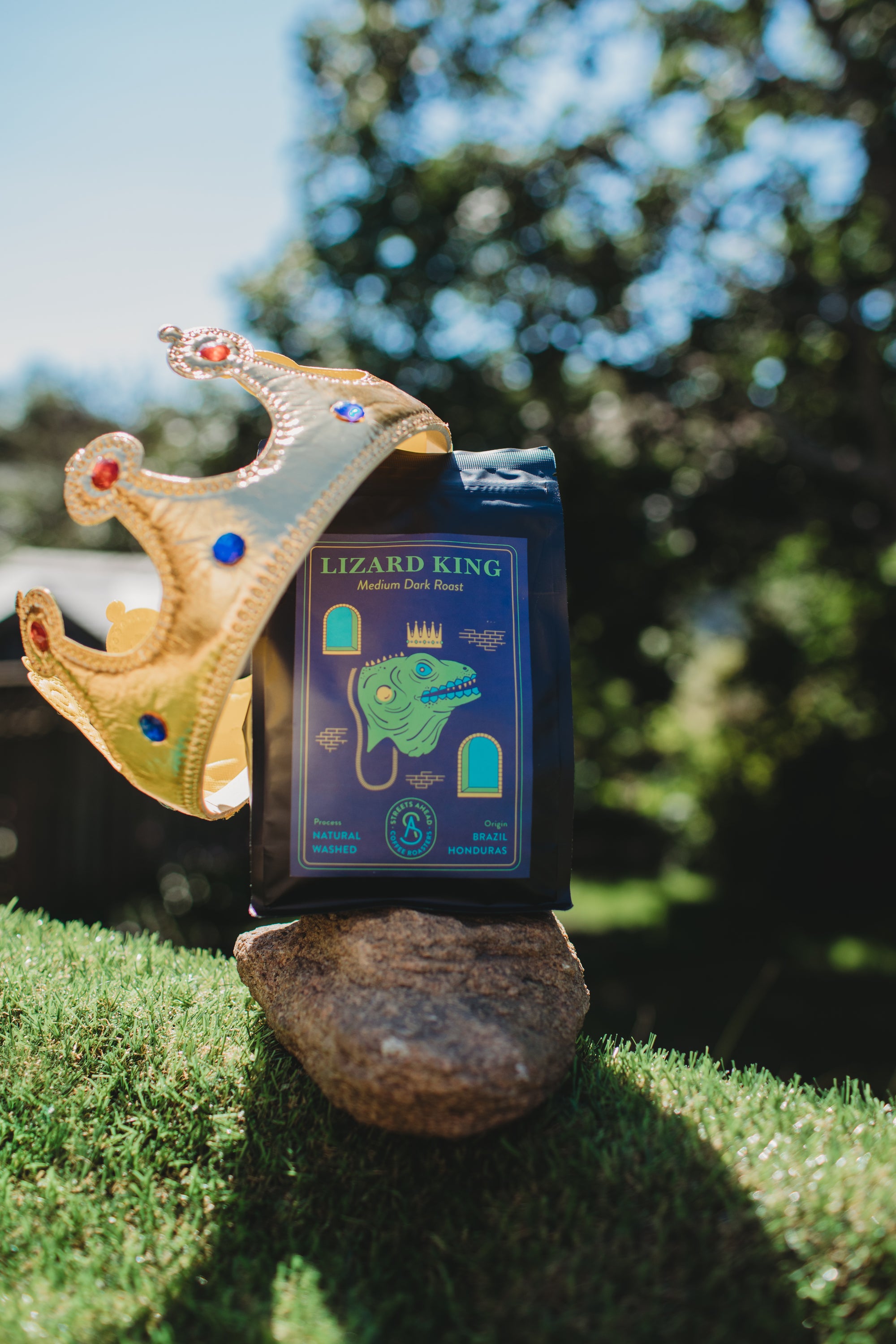 A bag of lizard king on a rock with a crown against a blurred natural background