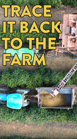 A tractor loading a trailer with grain on a farm, with text 'Trace it back to the farm' overlayed.