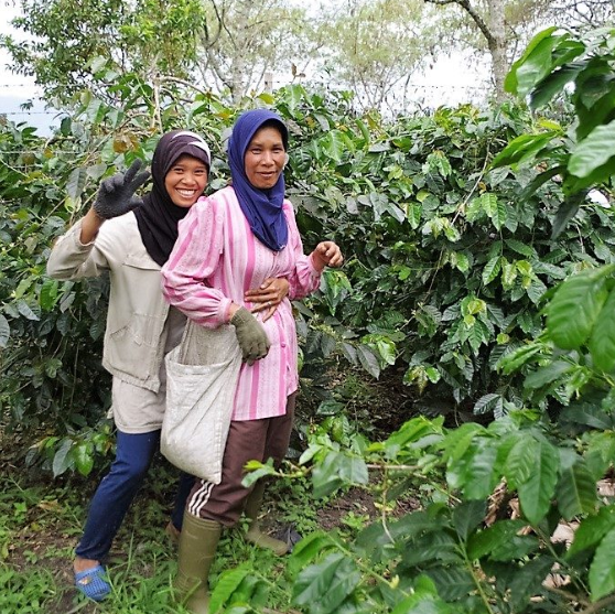Shadow Panther - Indonesia - Roast date N/A