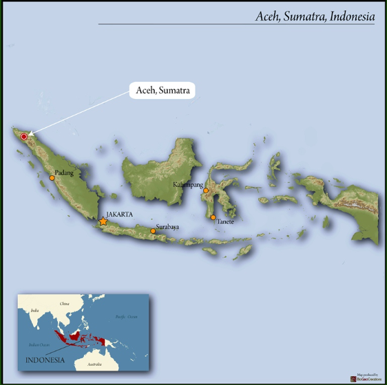 Shadow Panther - Indonesia - Roast date N/A