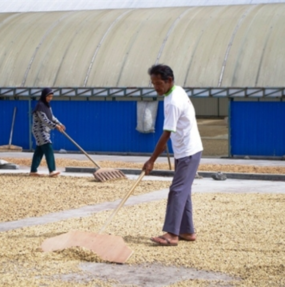 Shadow Panther - Indonesia - Roast date N/A
