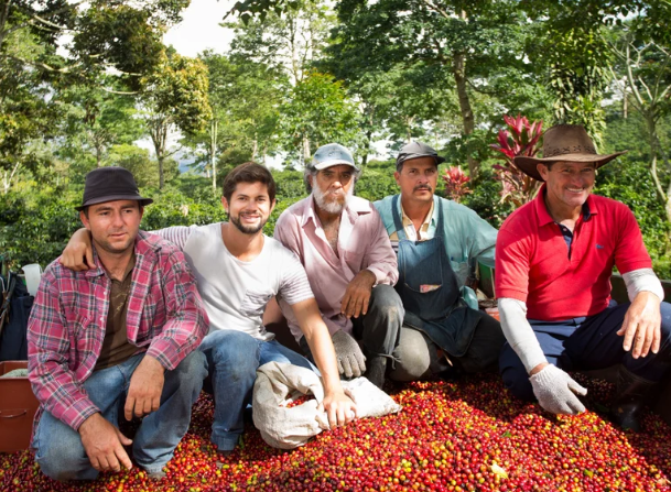 Rocket Frog - Costa Rica- Roast date September 22nd 2026