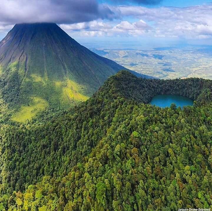Rocket Frog - Costa Rica- Roast date September 22nd 2026